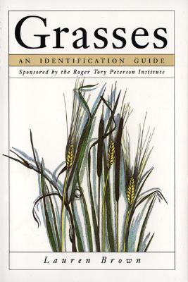 Grasses - An Identification Guide