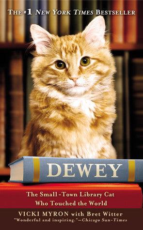 Dewey - The Small-Town Library Cat Who Touched The World - Thryft