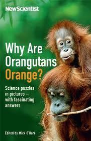 Why Are Orangutans Orange? Science Questions in Pictures - With Fascinating Answers