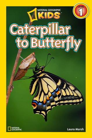 National Geographic Kids Readers: Caterpillar to Butterfly - Thryft