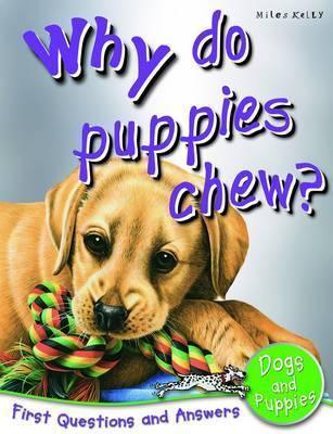 Why Do Puppies Chew? - Thryft