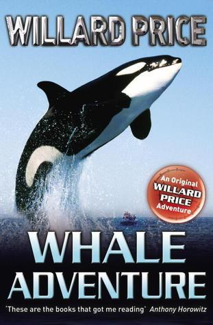 Whale Adventure - Thryft