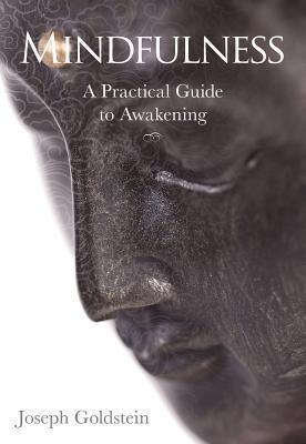 Mindfulness - A Practical Guide To Awakening - Thryft