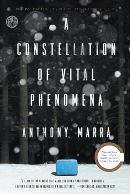 A Constellation of Vital Phenomena : A Novel - Thryft