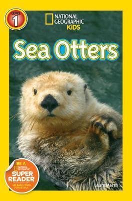 Sea Otters - Thryft