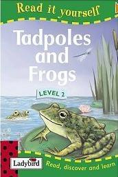 Tadpoles and Frogs - Thryft