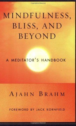 Mindfulness Bliss and Beyond : A Meditator's Handbook - Thryft