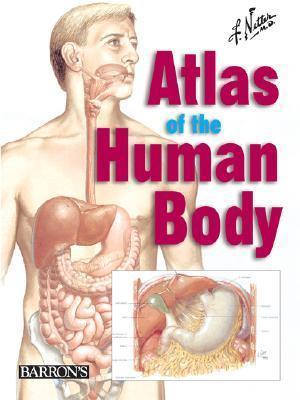 Netter's Atlas Of The Human Body - Thryft