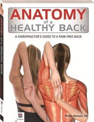 Anatomy Of Healthy Back - Thryft