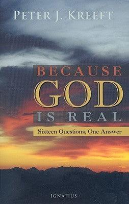 Because God is Real : Sixteen Questions, One Answer - Thryft