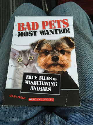 Bad Pets : Most Wanted! - Thryft