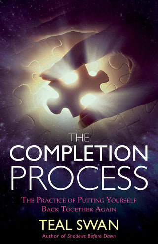 The Completion Process : The Practice of Putting Yourself Back Together Again - Thryft