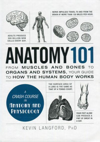 Anatomy 101 - Adams 101 Series