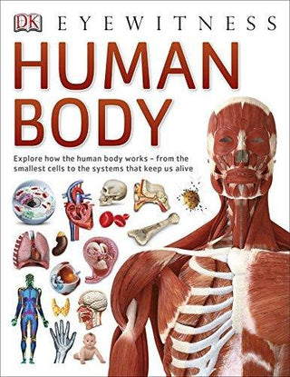 Human Body - Thryft