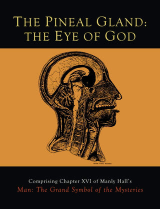 The Pineal Gland: The Eye of God - Thryft