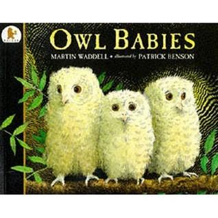 Owl Babies - Thryft