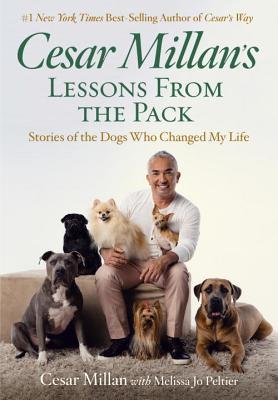 Cesar Millan's Lessons from the Pack