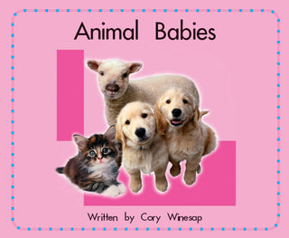 Springboard Lvl 3E: Animal Babies