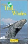 On the Trail of Whales