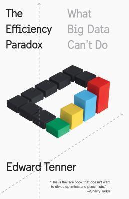 The Efficiency Paradox : What Big Data Can't Do - Thryft