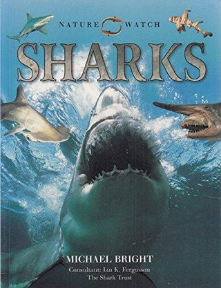 Nature Watch Sharks - Thryft