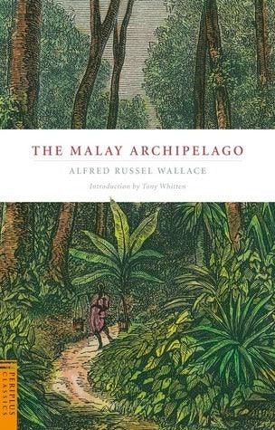 The Malay Archipelago - Thryft