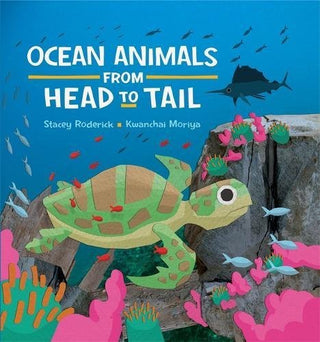 Ocean Animals From Head To Tail