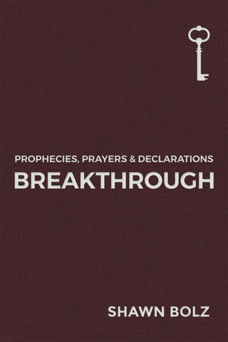 Breakthrough Volume 1 - Thryft