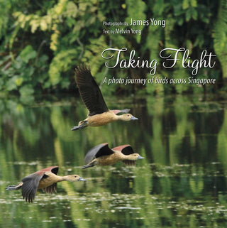 Taking Flight: A Photo Journey of Birds Across Singapore