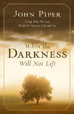 When the Darkness Will Not Lift: Doing What We Can While We Wait for God - And Joy