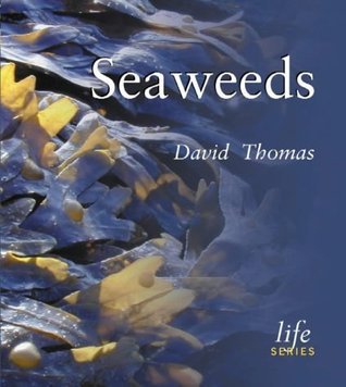 Seaweeds