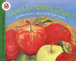 How Do Apples Grow? - Thryft