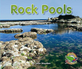 Rock Pools - Thryft