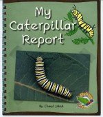 My Caterpillar Report - Flying Colours