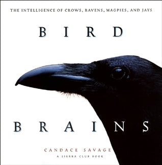 Bird Brains - The Intelligence of Crows, Ravens, Magpies, and Jays