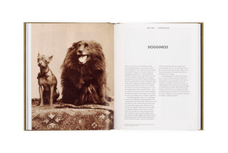 Dogs in Early Photography