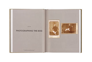 Dogs in Early Photography