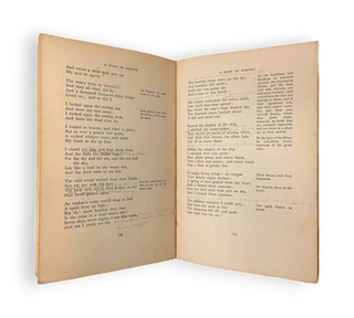 A Book of Poetry - Thryft