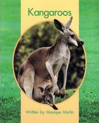 Springboard Lvl 7d: Kangaroos - Thryft