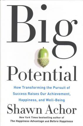 Big Potential : How Transforming the Pursuit of Success Raises Our Achievement, Happiness, and Well-Being - Thryft