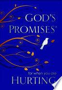 God's Promises For When You Are Hurting - Thryft